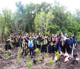 Seratuan mahasiswa Polbeng menanam mangrove di Desa Teluk Pambang